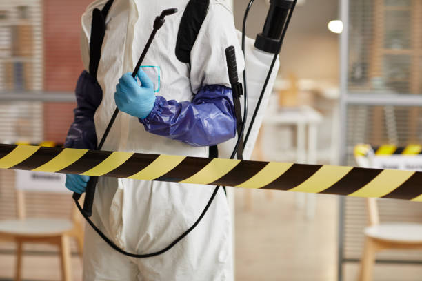 Professional Sewage Cleanup technician working in Hialeah, FL
